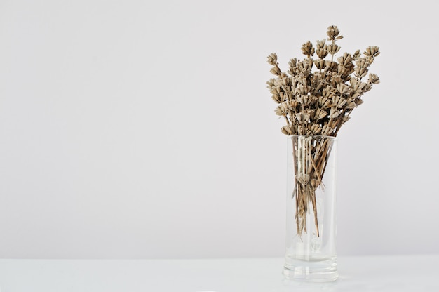 Premium Photo Dried Lavender Branches At Vase