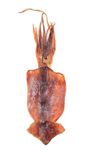 Premium Photo | Dried squid