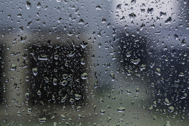 Premium Photo | Drops of rain water during the rainy season