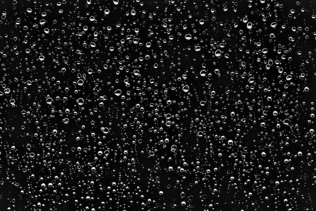 Premium Photo | Drops of water on a black background