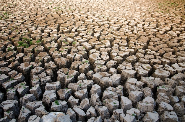 Premium Photo | Drought effect of the shortage of water