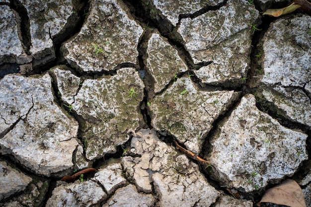 夏の暑さの間に乾燥した割れた地面 プレミアム写真