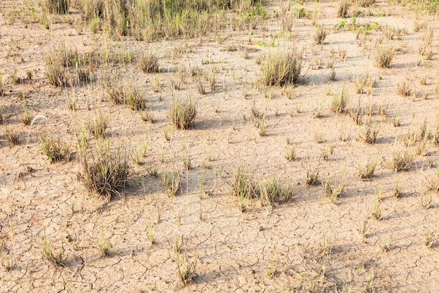 茶色の土やひびの入った地面テクスチャ背景に乾いた草背景パターン プレミアム写真