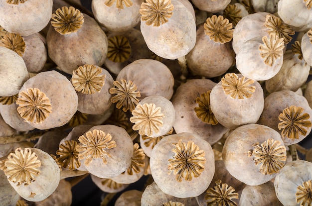 Premium Photo | Dry poppy on a dark wooden background. bouquet.