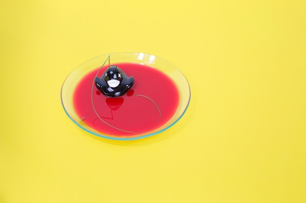 Free Photo | Duck with line in blood