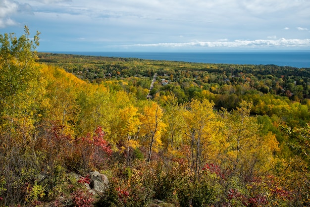Sporvogn nyt år Express Premium Photo | Duluth, minnesota. beautiful fall colors in the superior  national forest edging down to lake superior in the city of duluth.