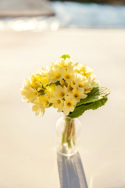 イースターのコンセプト ガラスの花瓶に黄色の花とプリムローズプリムラの花束 プレミアム写真