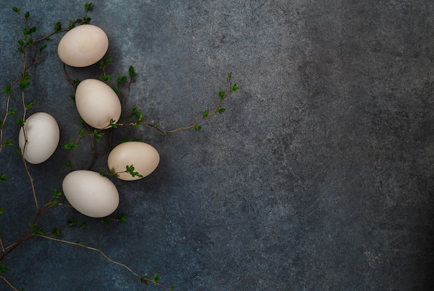 Premium Photo | Easter eggs on gray background. sprig of greenery ...