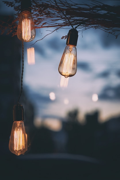 Premium Photo | Edison light bulb with city blur background, selective ...