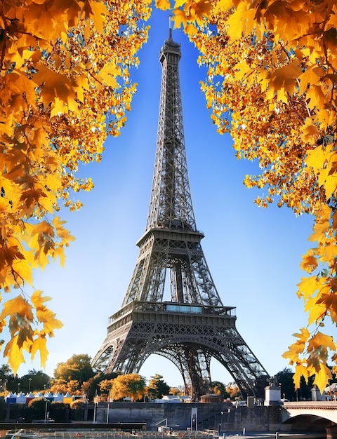 Premium Photo | Eiffel tower and maple tree in paris, france