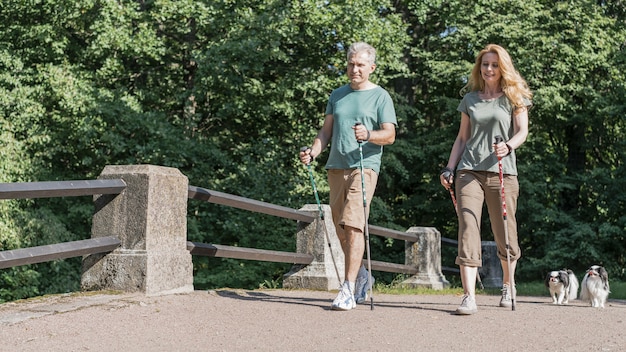 walking poles for elderly