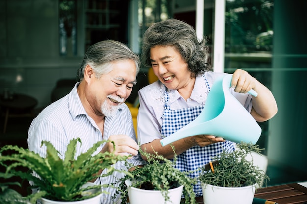 Elderly couples talking together and plant a trees in pots. Free Photo