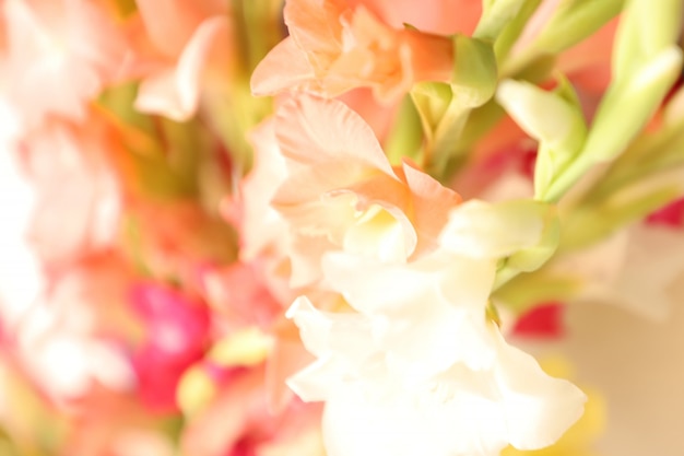 Free Photo | Elegant light floral multipurpose background