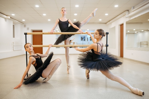 Premium Photo | Elegant teen ballerinas poses at the barre in class ...