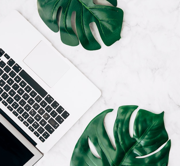 An elevated view of green monstera leaves with laptop on white desk Free Photo