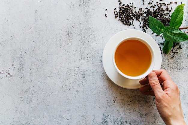 An elevated view of a person holding cup of tea with dried tea leaves and mint Free Photo