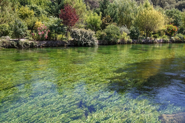 Зеленая вода картинки