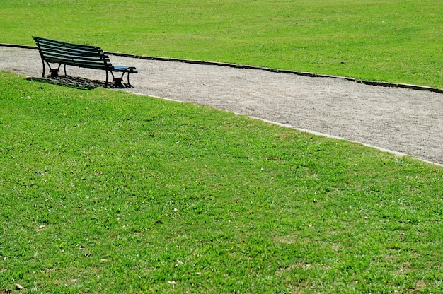 Premium Photo | Empty bench on the green grass field in a park