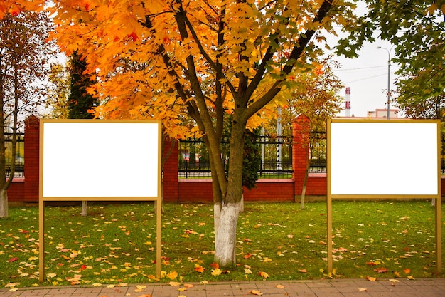 Premium Photo | Empty billboards with copy space against bright autumn ...