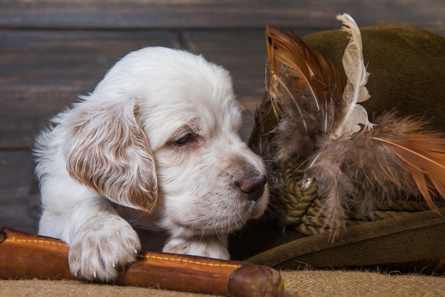 ハンティングナイフとアヒルの横にあるイングリッシュセッターの子犬の狩猟犬 プレミアム写真