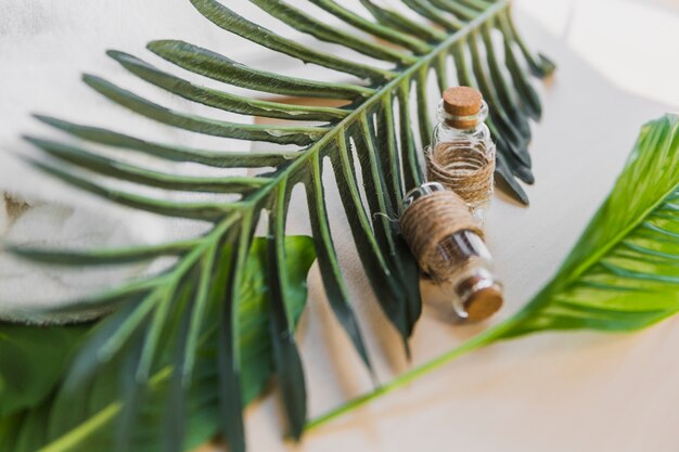 Essential oil near palm leaves Free Photo