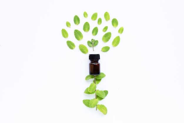 Essential oil with fresh apple mint leaves on white Premium Photo