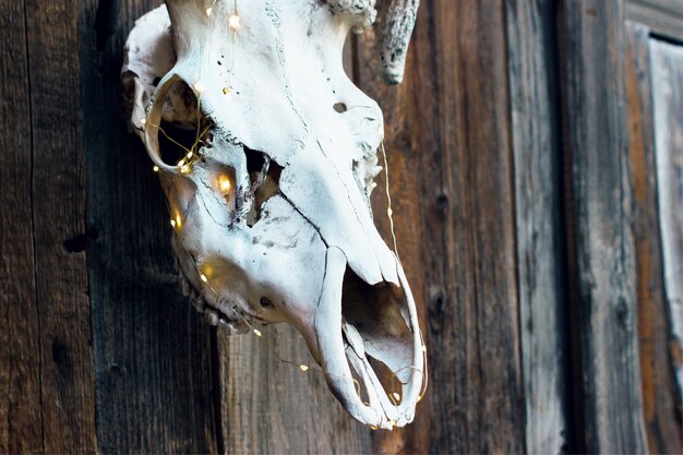 Premium Photo | Evil elegant skull of a deer with a garland for ...