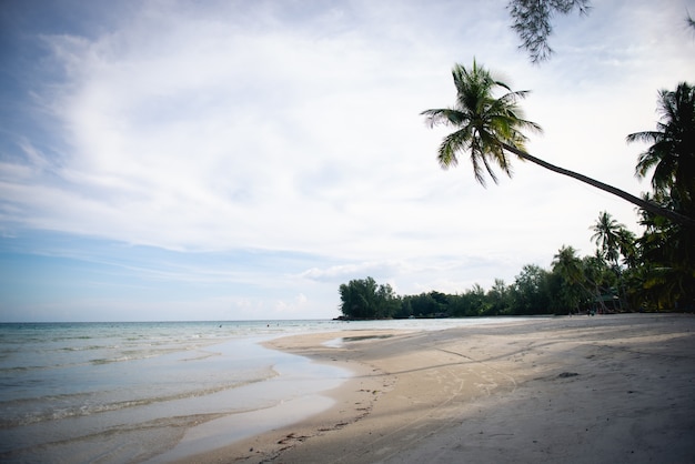 Premium Photo | Excellent sea and beaches on koh kood