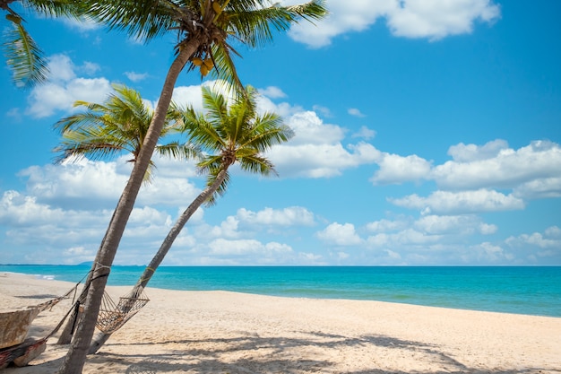 背景や壁紙のエキゾチックな熱帯のビーチの風景 旅行のインスピレーションを与える静かなビーチシーン リラックスした観光のための夏休みと休暇の概念 プレミアム写真