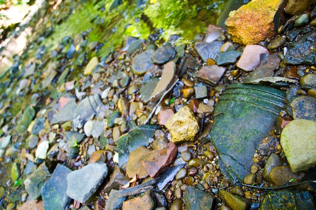 Premium Photo | Exposed rocky river bed and bank