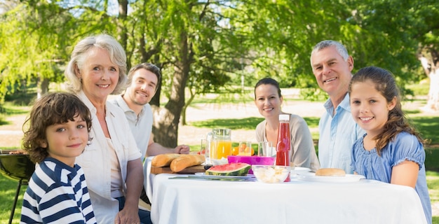 Premium Photo | Extended family having lunch in the lawn