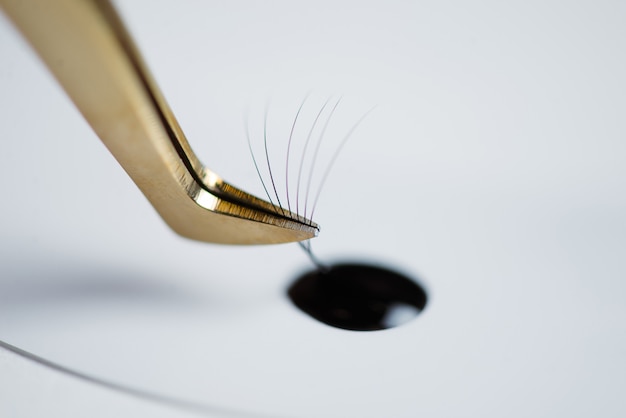 Eyelash extensions in the beauty salon. the concept of body care and beauty. Premium Photo