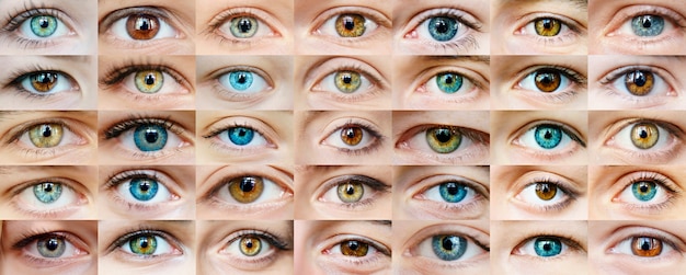 Premium Photo | Eyes collage