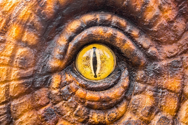 dinosaur eyes