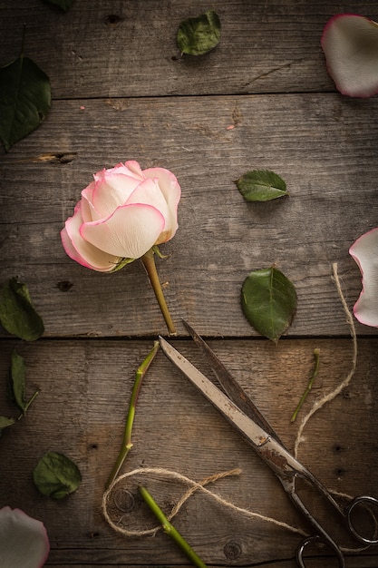 Download Faded pink rose on dark rustic background | Premium Photo