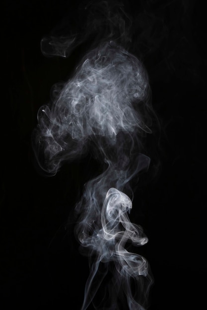 Free Photo | Faded white smoke spreading over the back background