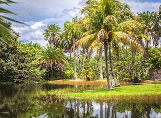 Premium Photo | Fairchild tropical botanic garden, miami, fl, usa