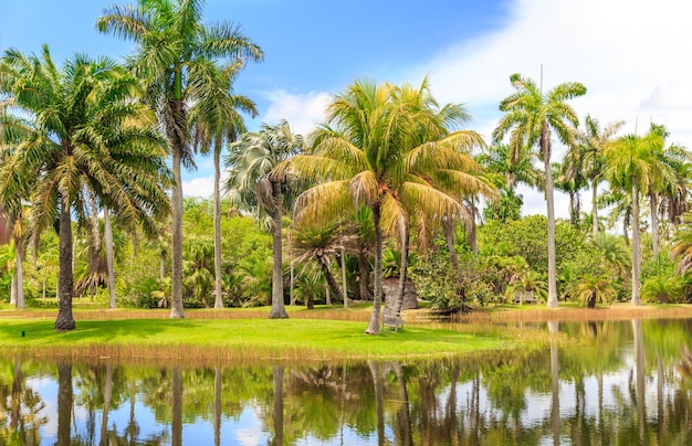 Fairchild Tropical Botanic Garden Miami Fl Usa Premium Photo