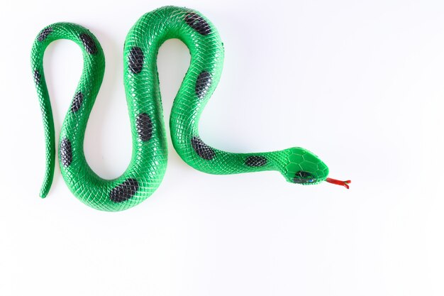 False Snake Images Free Vectors Stock Photos Psd