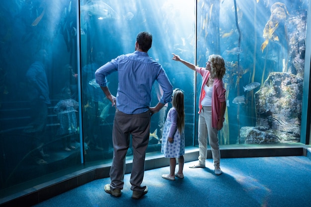 Premium Photo | Familly looking at fish tank