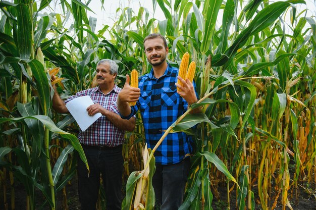 Premium Photo | Family agrobusines, farmers standing in a corn field ...