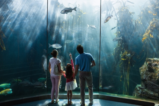 Premium Photo | Family looking at fish tank