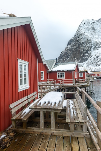 ロフォーテン島で有名な地元の赤いロブエル ノルウェー旅行 プレミアム写真