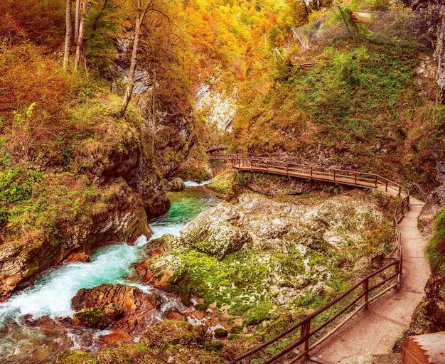 Premium Photo The Famous Vintgar Gorge Canyon With Wooden Path Bled National Park Triglav