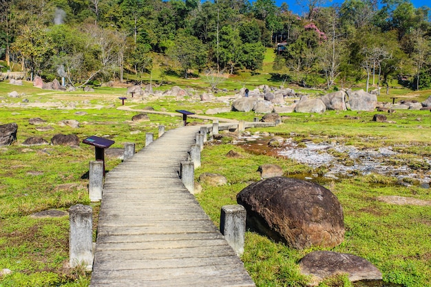 Premium Photo | Fang hot springs chiang mai thailand