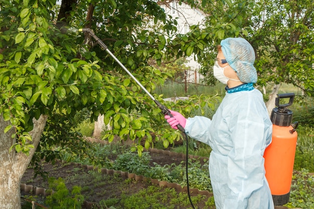 Premium Photo | Farmer is spraying apple trees from fungal disease or ...