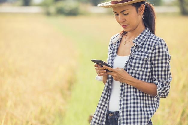 Farmer in rice field with smartphone Free Photo
