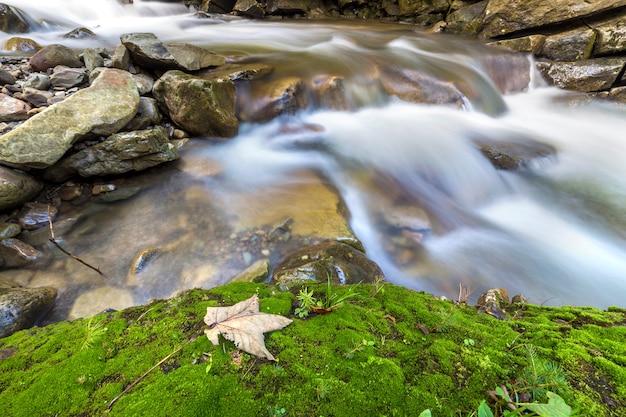 Premium Photo | Fast flowing river stream with smooth silky water ...