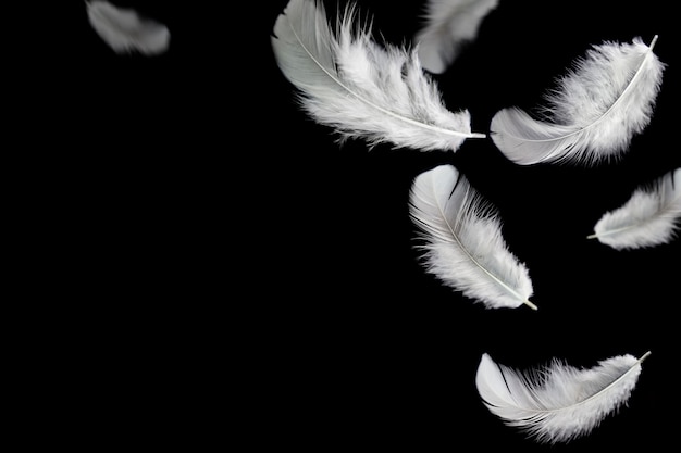 羽の抽象的な背景 白い羽が暗闇の中で落ちます プレミアム写真