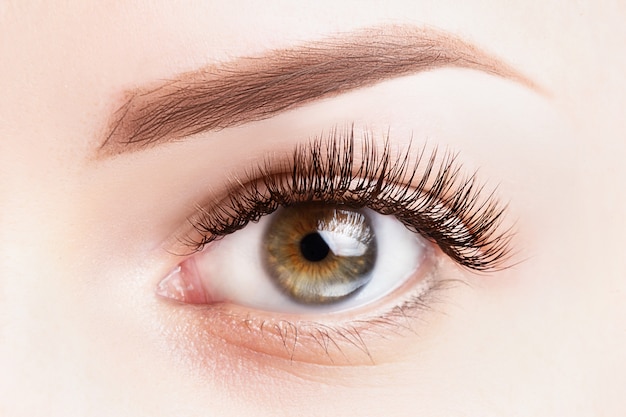 Female eye with long eyelashes. classic eyelash extensions and light brown eyebrow close-up. Premium